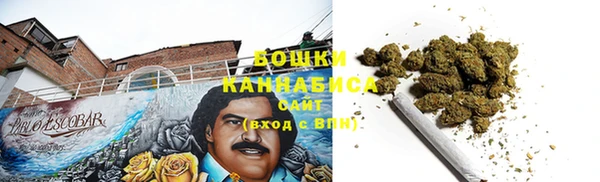 амф Горнозаводск