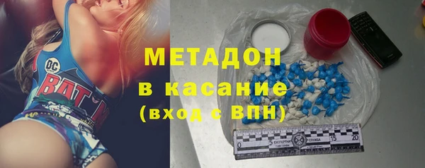 гидра Горняк