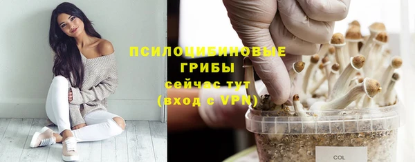гидра Горняк