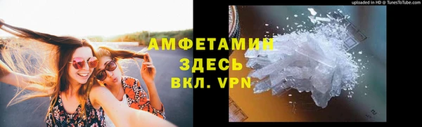 гидра Горняк