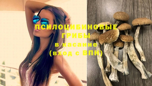 амф Горнозаводск