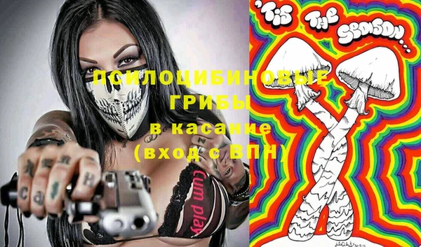 apvp Вязьма