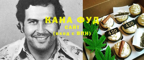 гидра Горняк