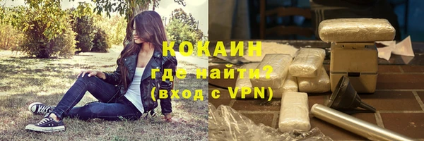 гидра Горняк