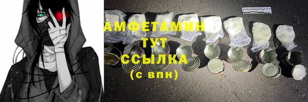 гидра Горняк