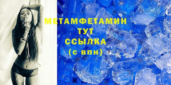 гидра Горняк