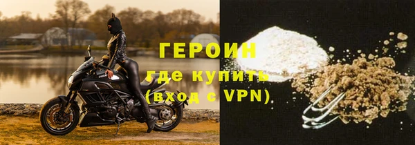 гидра Горняк