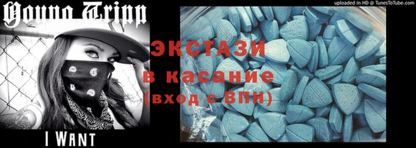 гидра Горняк