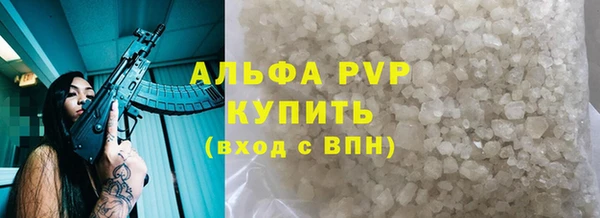 гидра Горняк