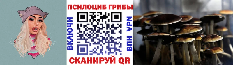 где можно купить наркотик  Дальнереченск  Галлюциногенные грибы мухоморы 