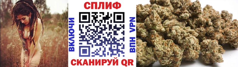МАРИХУАНА конопля  наркота  Дальнереченск 